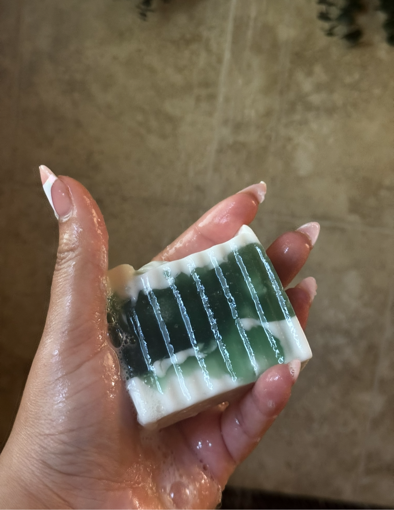 Chlorophyll + Mint Skin Bar